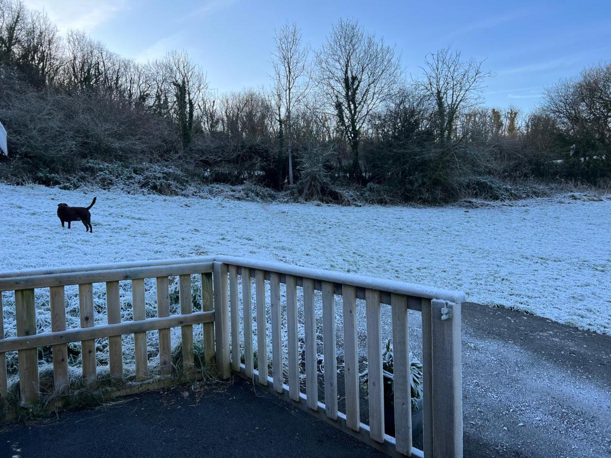 Kabin In The Woods Llandybie ภายนอก รูปภาพ
