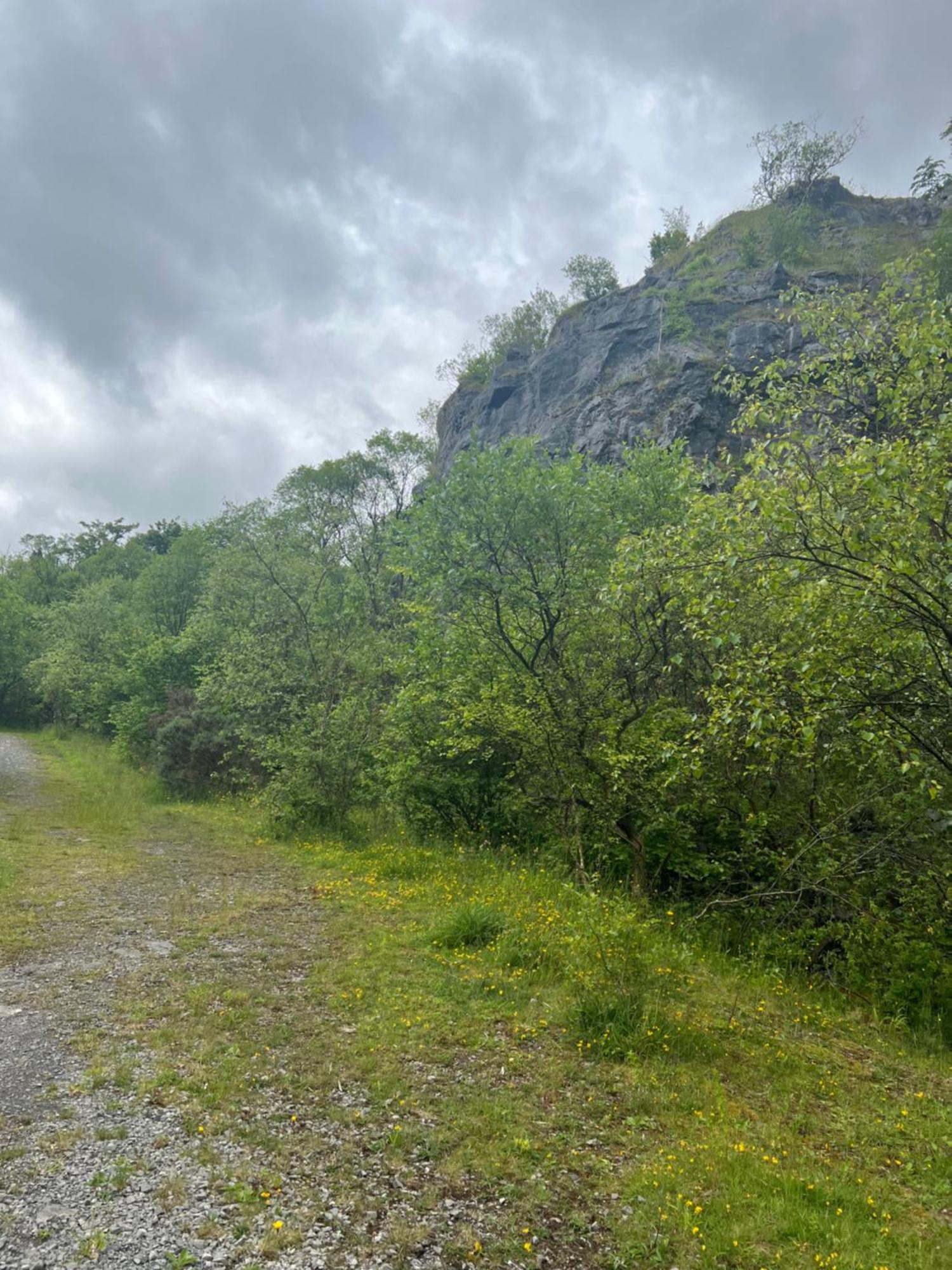 Kabin In The Woods Llandybie ภายนอก รูปภาพ