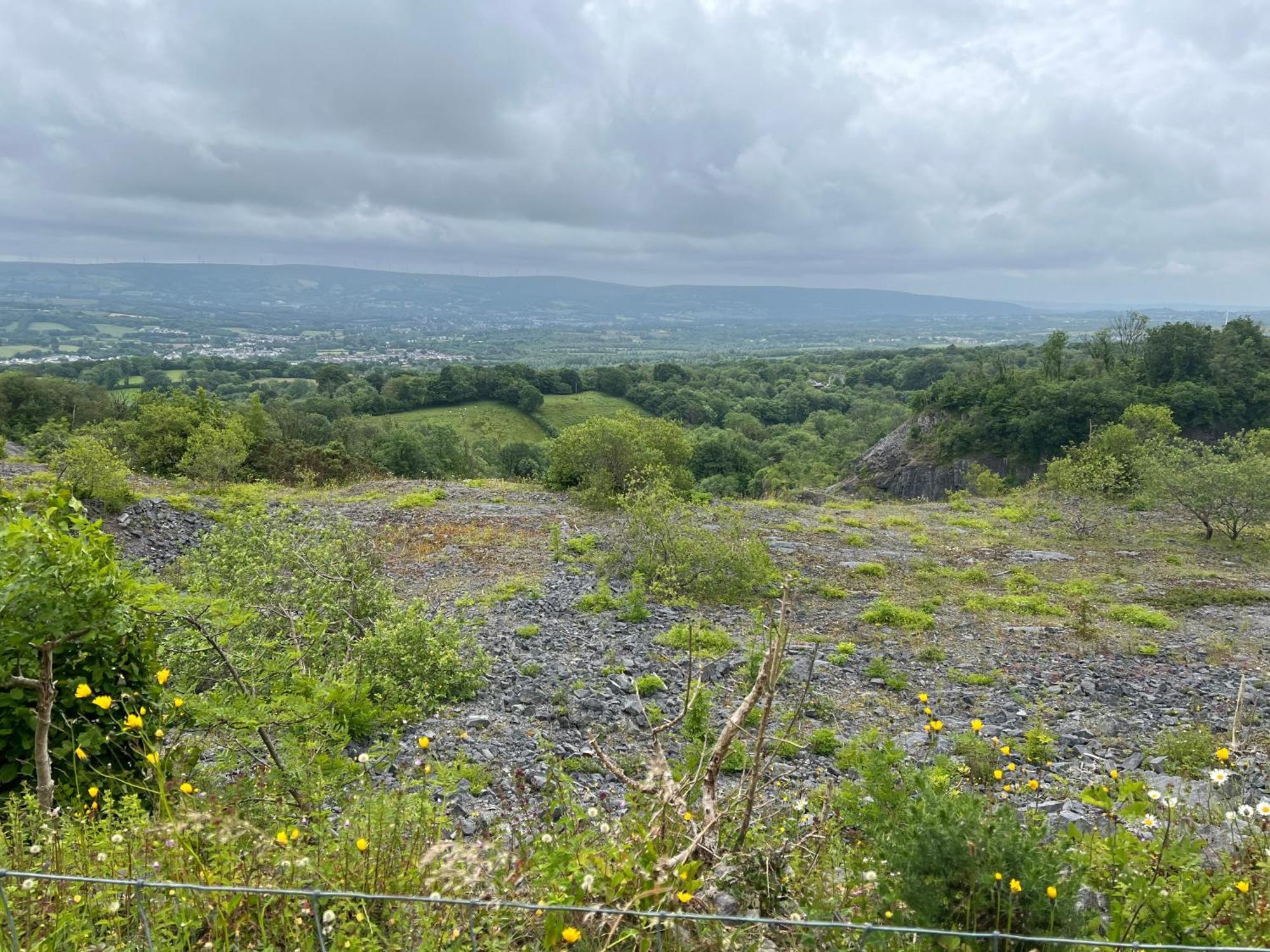Kabin In The Woods Llandybie ภายนอก รูปภาพ