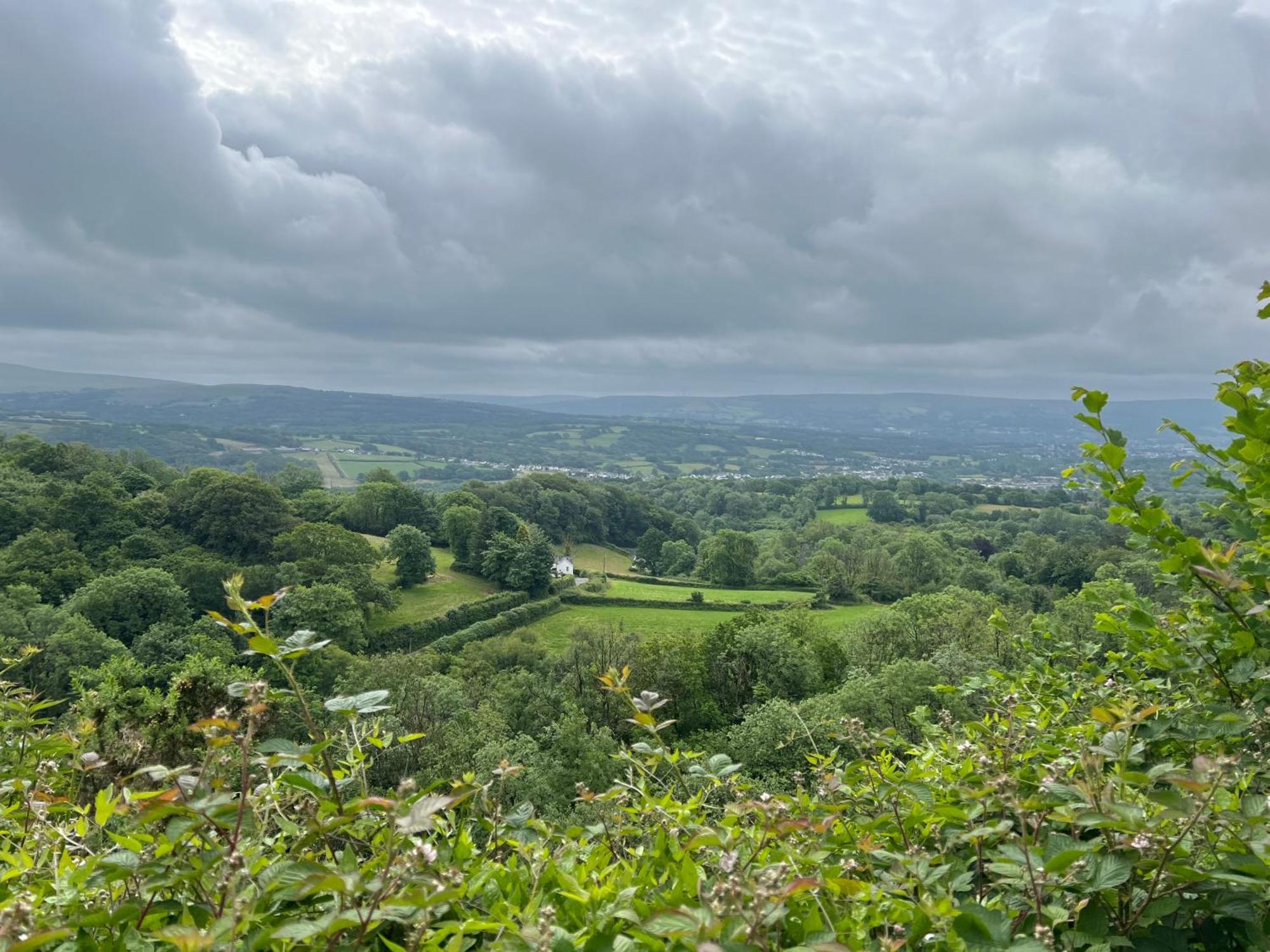 Kabin In The Woods Villa Llandybie ภายนอก รูปภาพ