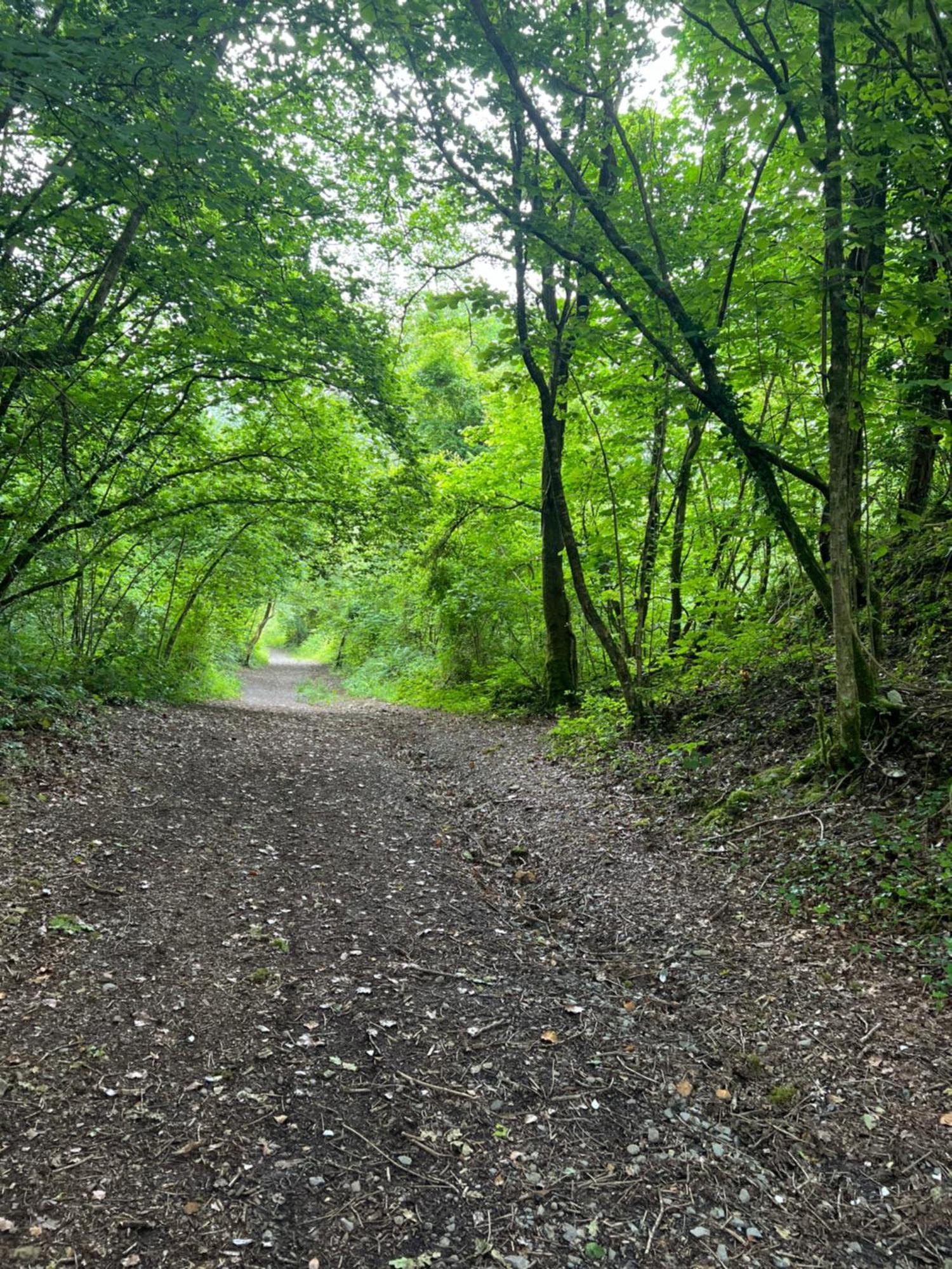 Kabin In The Woods Llandybie ภายนอก รูปภาพ